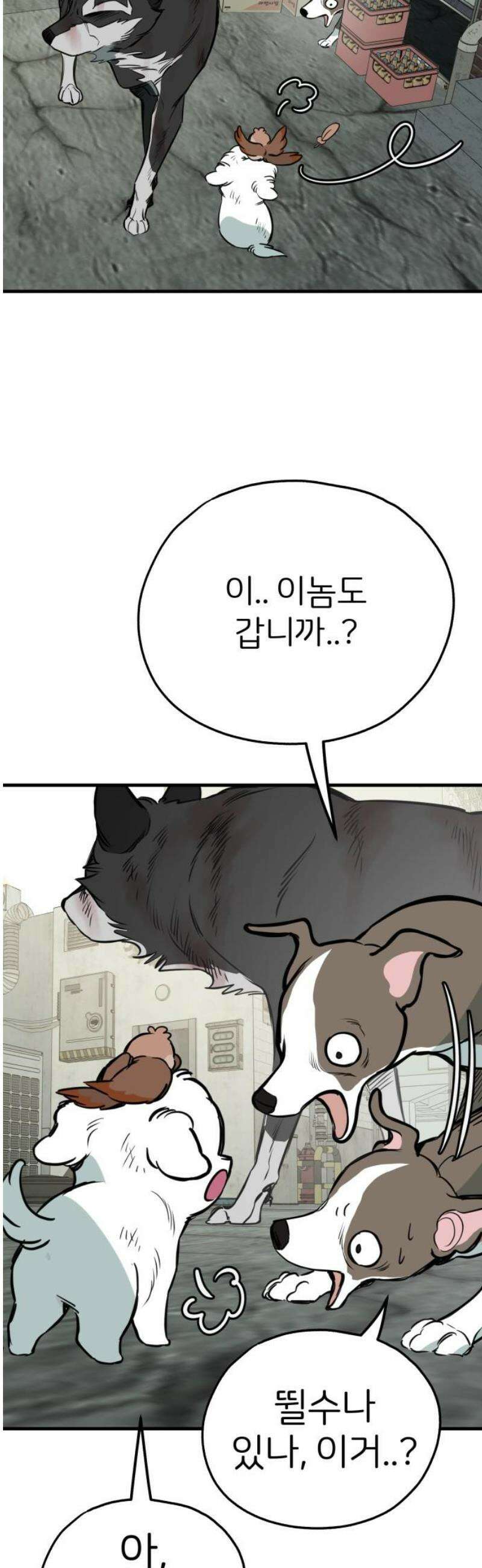 개같이 탈출 시즌2 4화 40