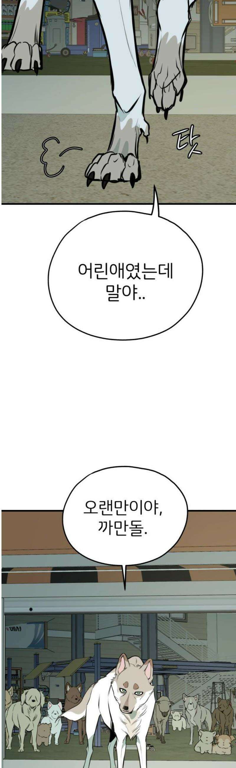 개같이 탈출 시즌2 4화 53