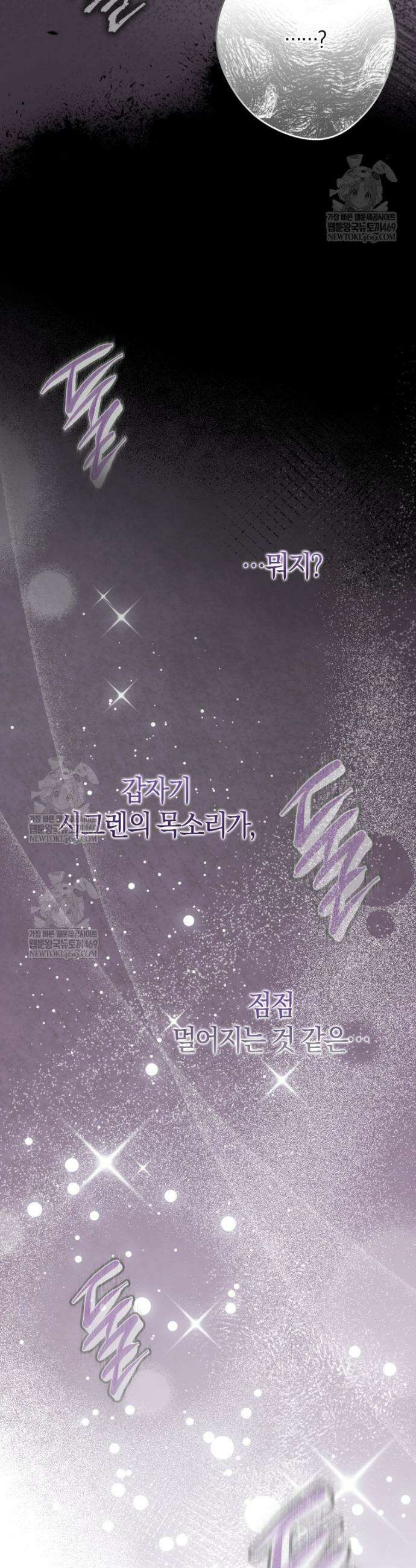 내 남자 주인공의 아내가 되었다 외전 2화 46