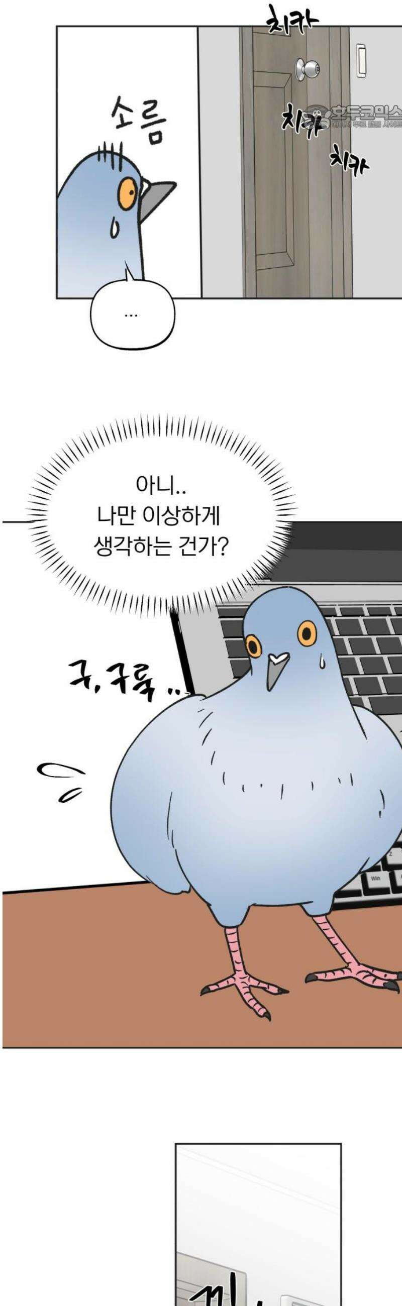 성북구 비둘기 이헌서 60화) 7
