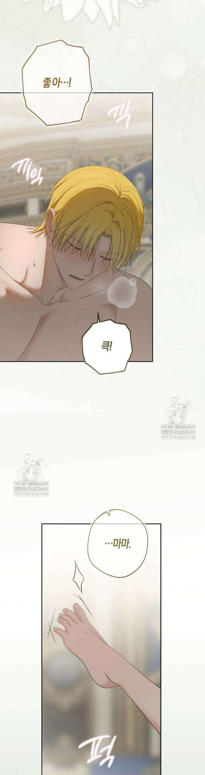 역하렘 게임 속으로 떨어진 모양입니다 [19세 완전판] -로비아 외전- 35