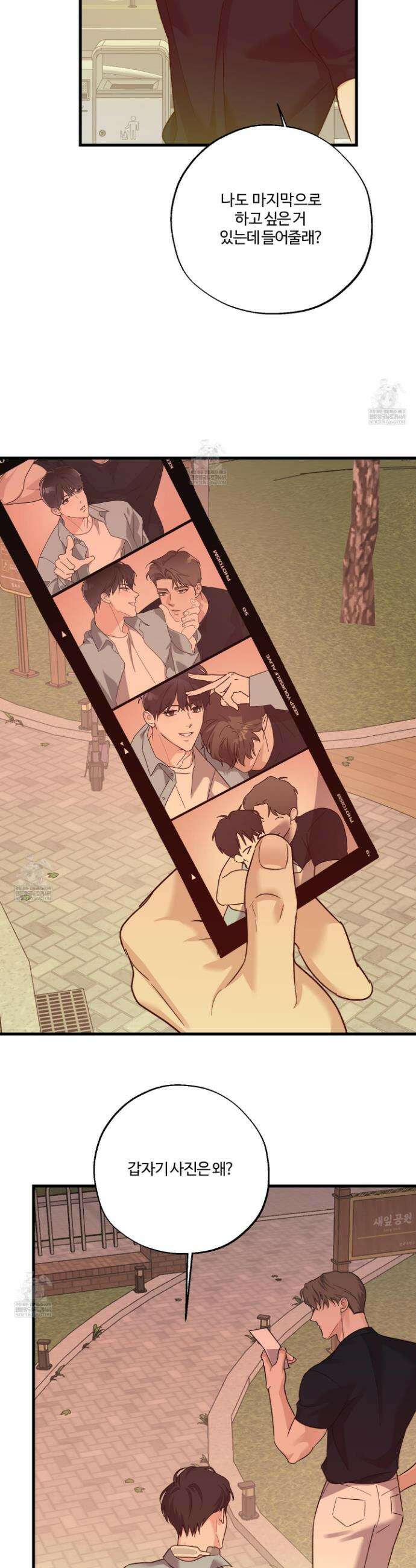 임시 연애 경보 43화 14