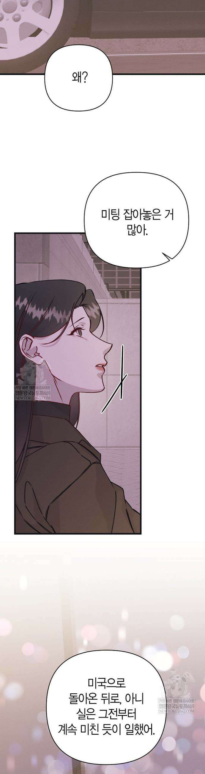 불온한 파트너십 38화 28