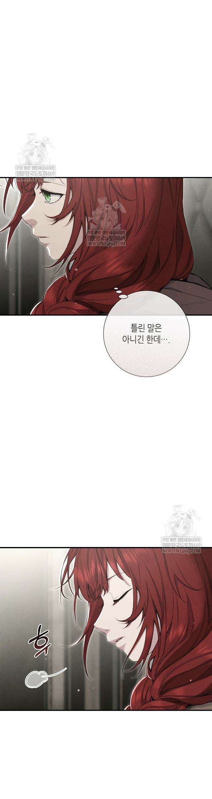 부활한 악녀를 찾지 마세요 17화 5