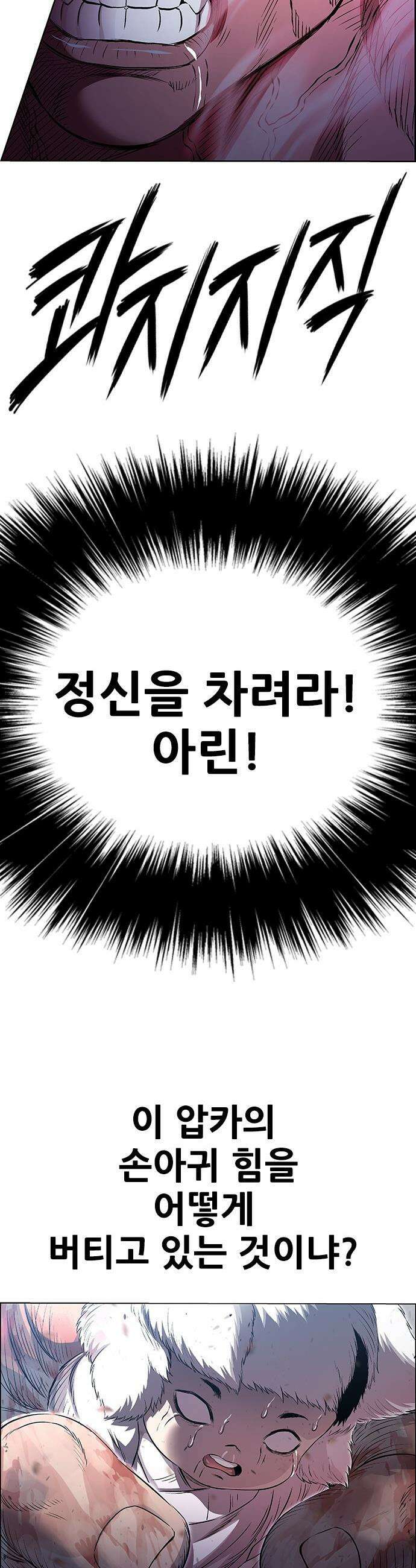 호랑이 형님 호랑이형님 - 3부117화  압카 대 아린5 46