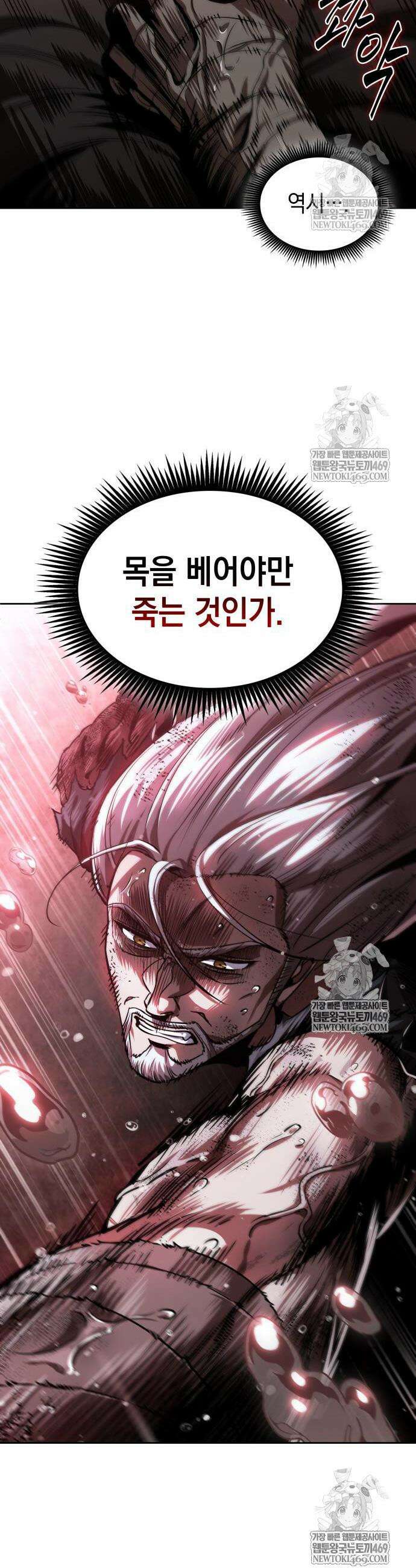 나노마신 305화 10