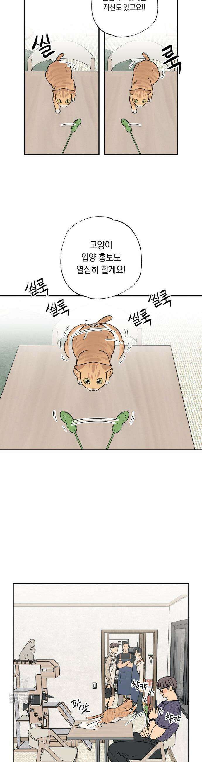 상호간택 12화 16