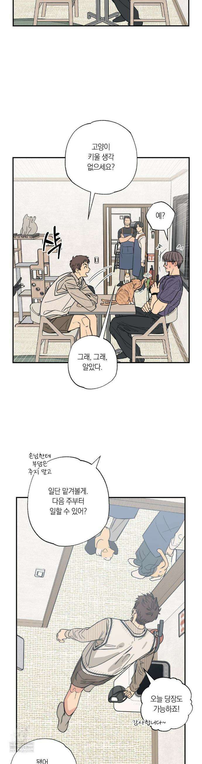상호간택 12화 17