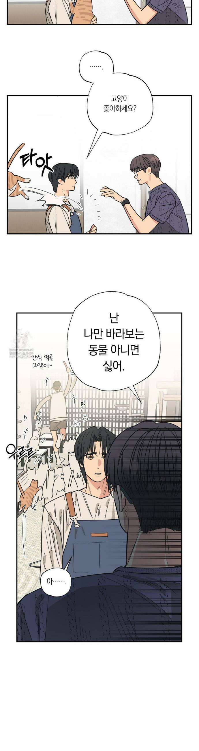 상호간택 12화 26