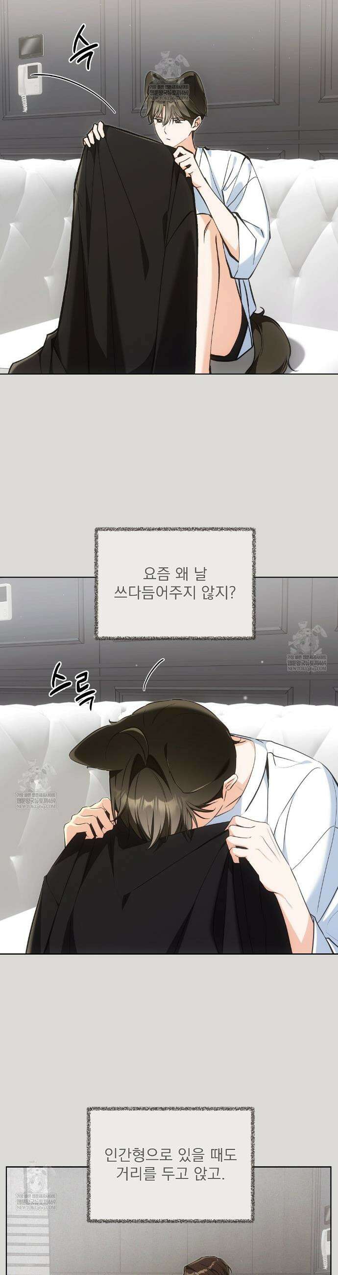 고양이 테라피 25화 7