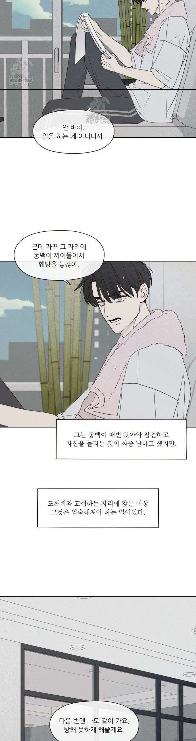 도깨비도 수풀이 있어야 모인다 161화(최종화) 3