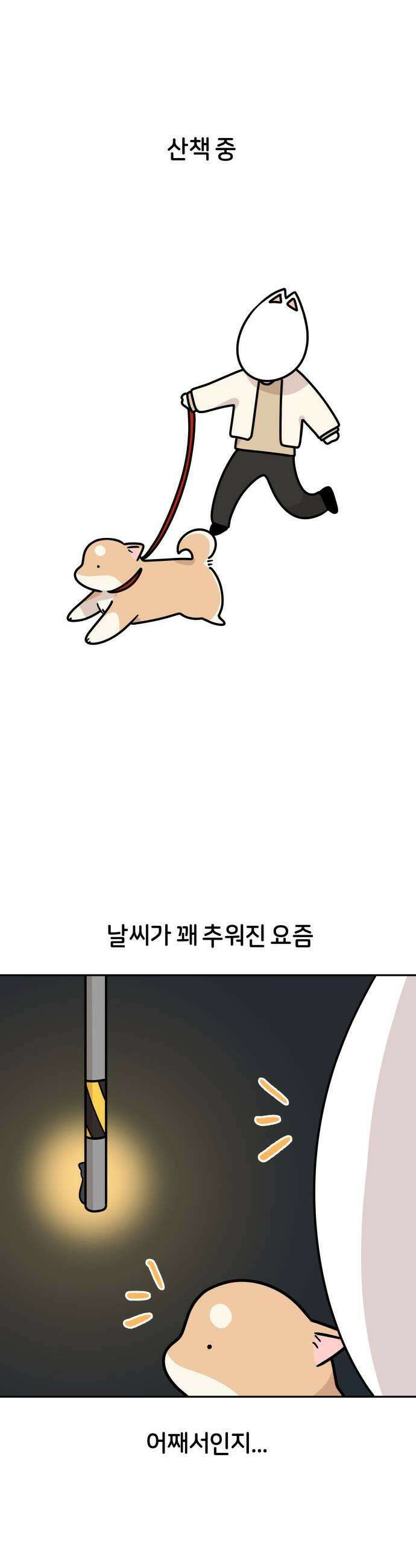 시바, 만만치 않다 78화 고양이 1