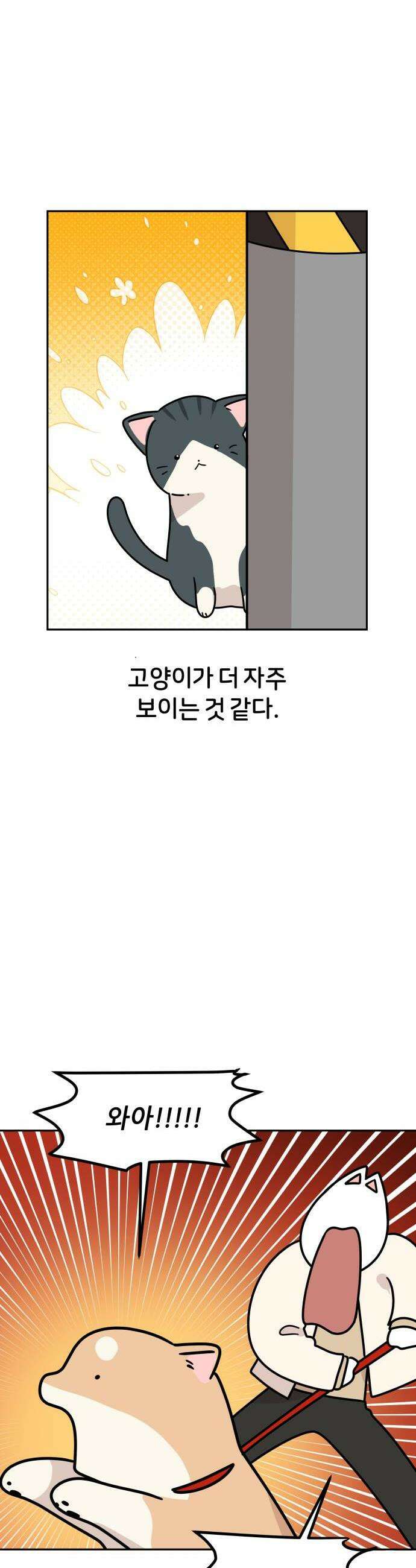 시바, 만만치 않다 78화 고양이 2