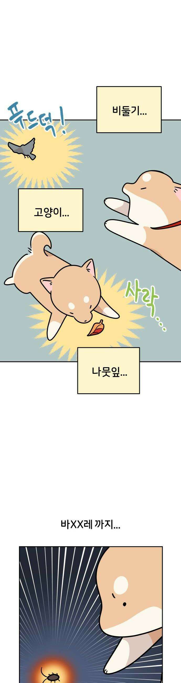 시바, 만만치 않다 78화 고양이 4