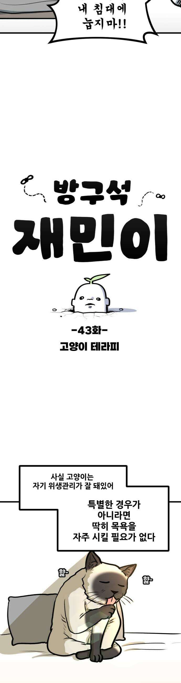 방구석 재민이 43화 고양이 테라피 3