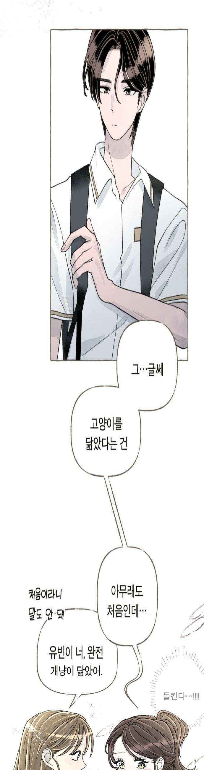 아이캣치유 12 세렌디피티 4