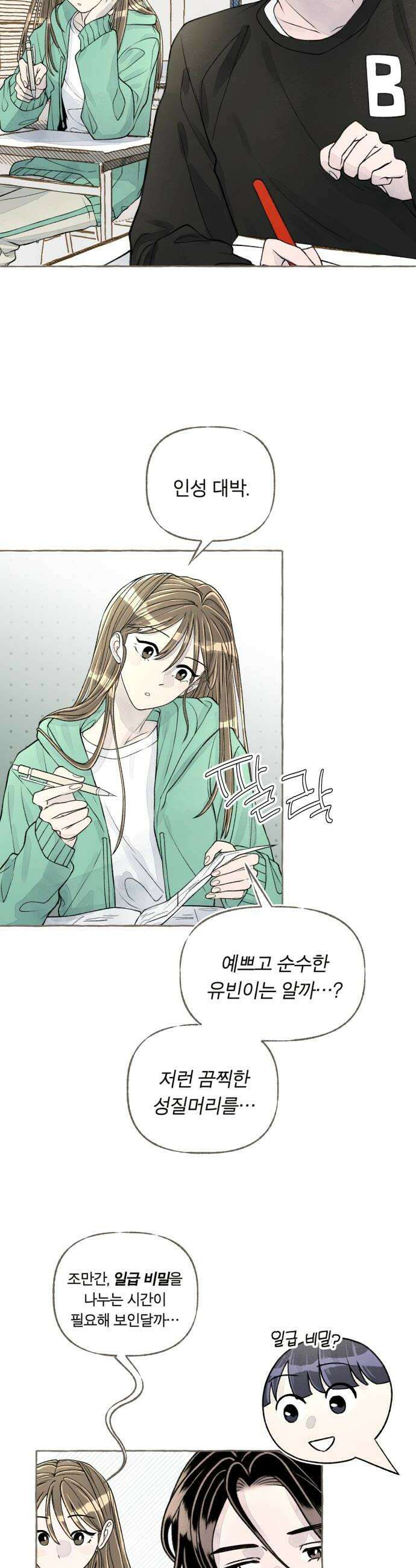 아이캣치유 12 세렌디피티 48
