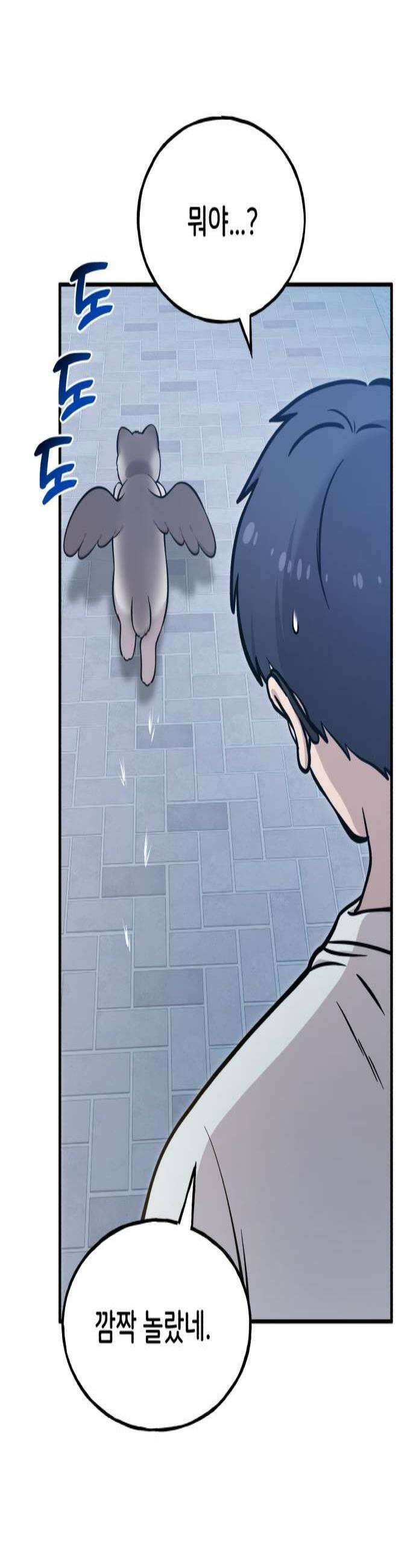 안녕 오목눈이 그리핀! 41화 흰둥아 보고싶었어 3