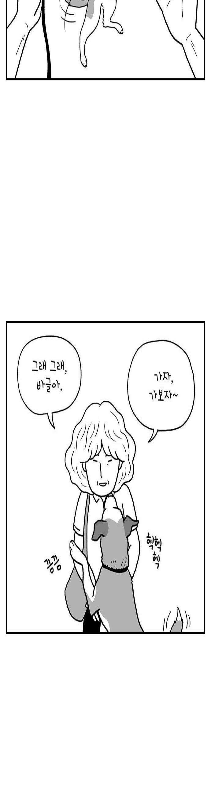 펫로스클럽 28 하우스 푸어 독 2