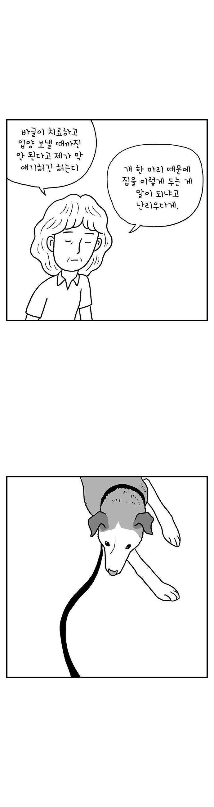 펫로스클럽 28 하우스 푸어 독 12