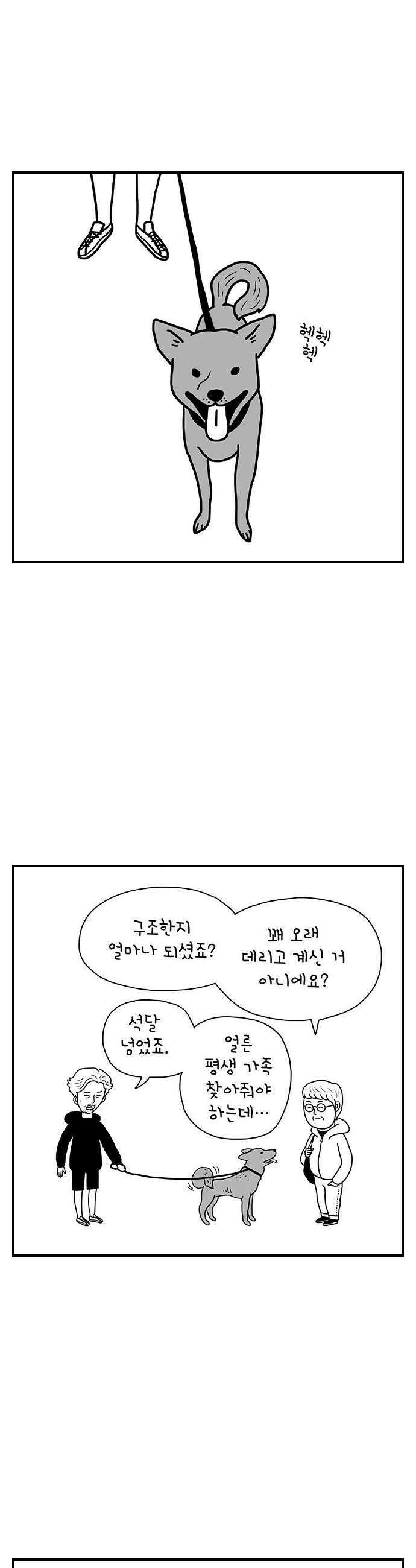 펫로스클럽 28 하우스 푸어 독 20