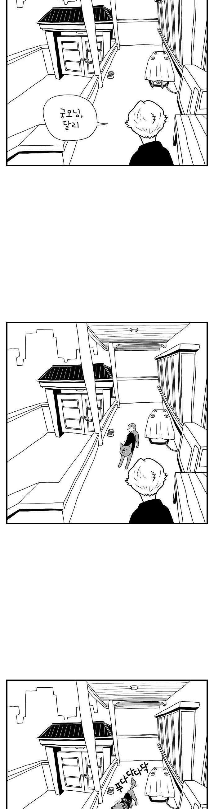 펫로스클럽 30 남의 달리 6