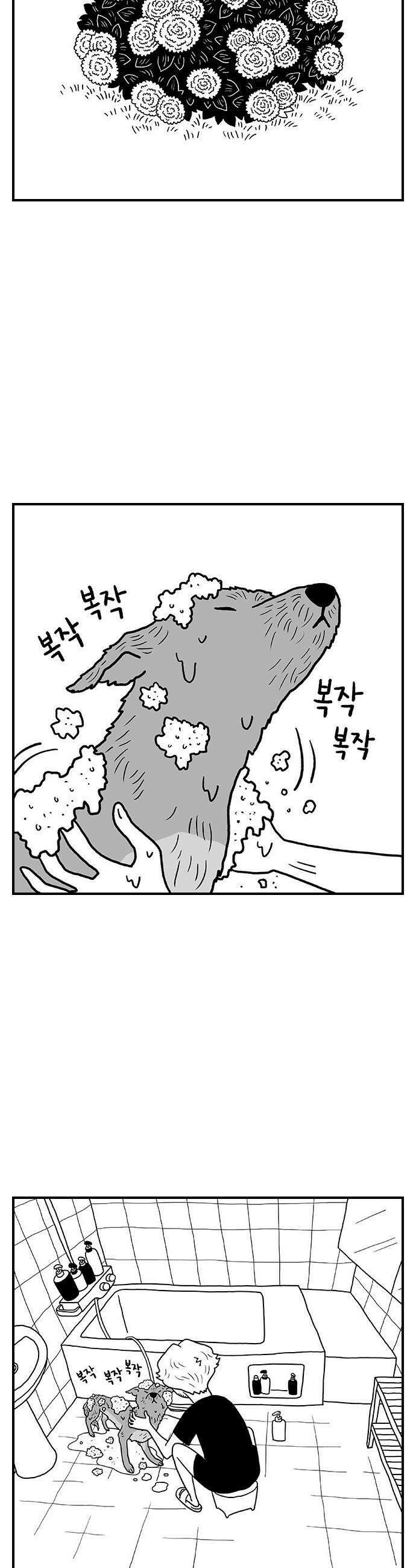 펫로스클럽 30 남의 달리 22