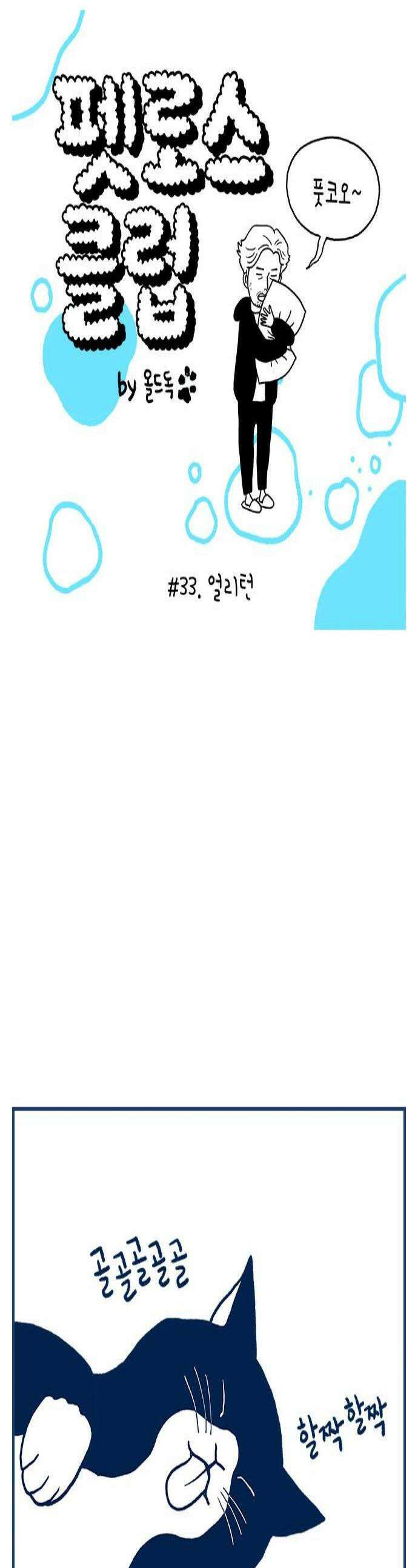 펫로스클럽 33 얼리턴 1