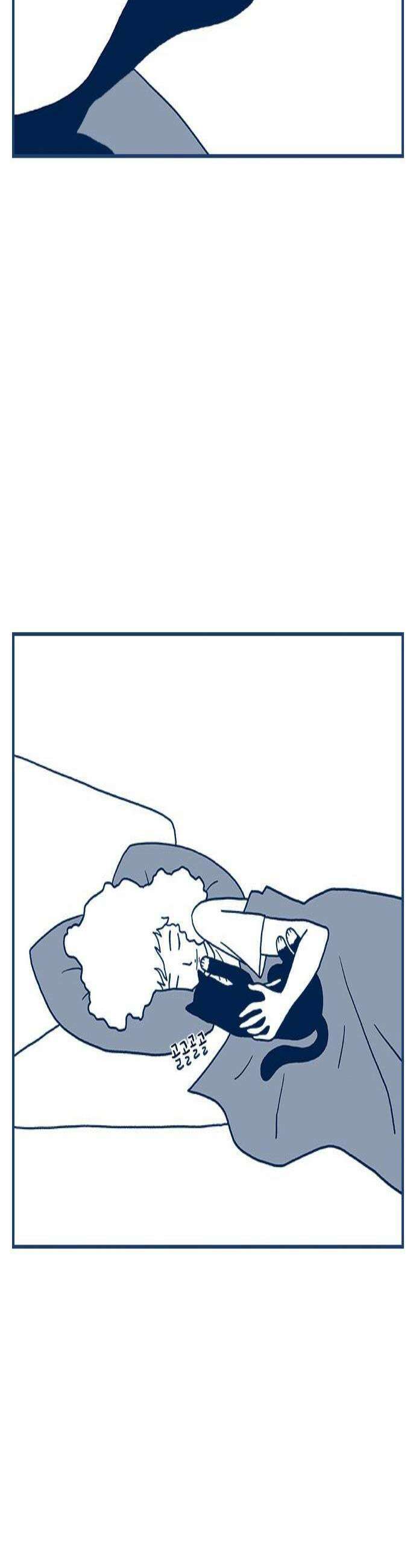 펫로스클럽 33 얼리턴 2