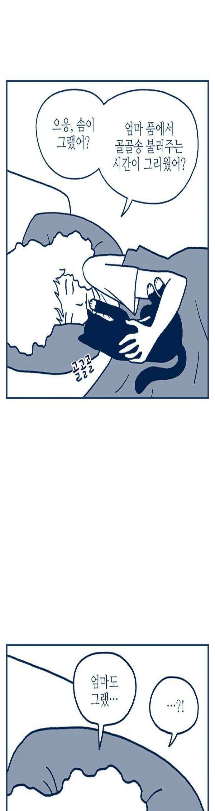 펫로스클럽 33 얼리턴 3