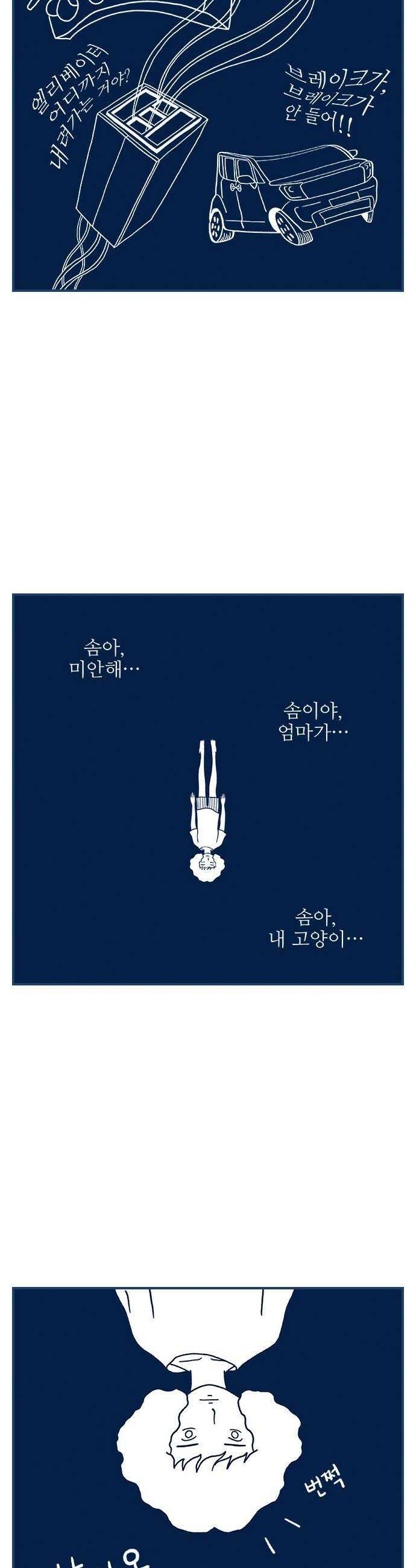 펫로스클럽 33 얼리턴 10