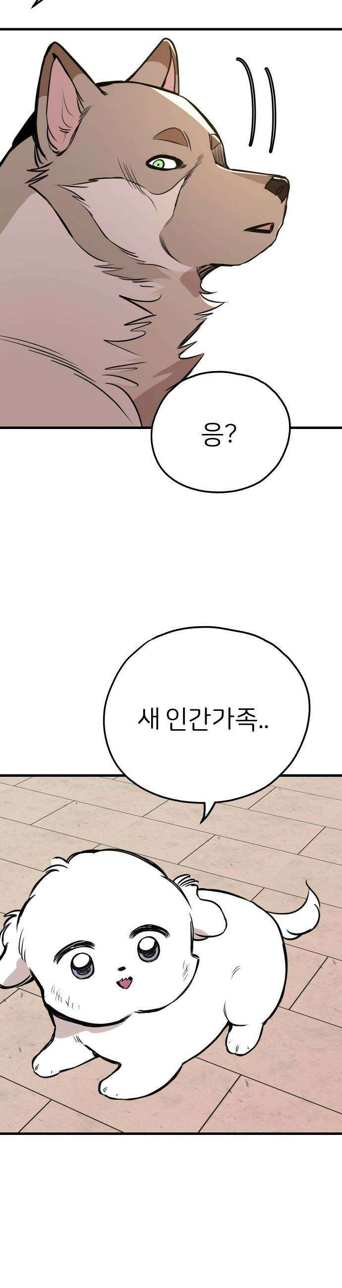 개같이 탈출 시즌2 13화 12