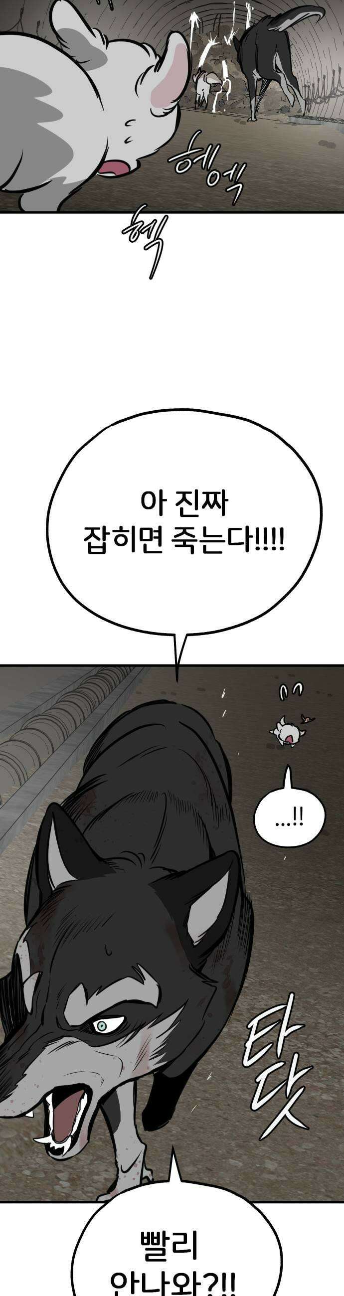 개같이 탈출 시즌2 13화 45