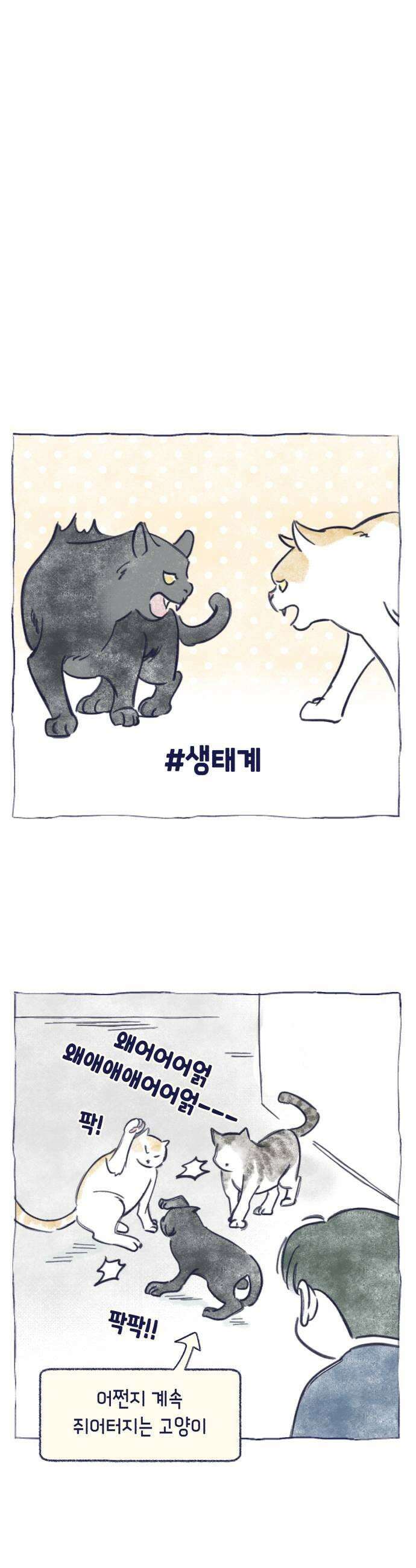 사지선다 쉬어가는 특별편 21