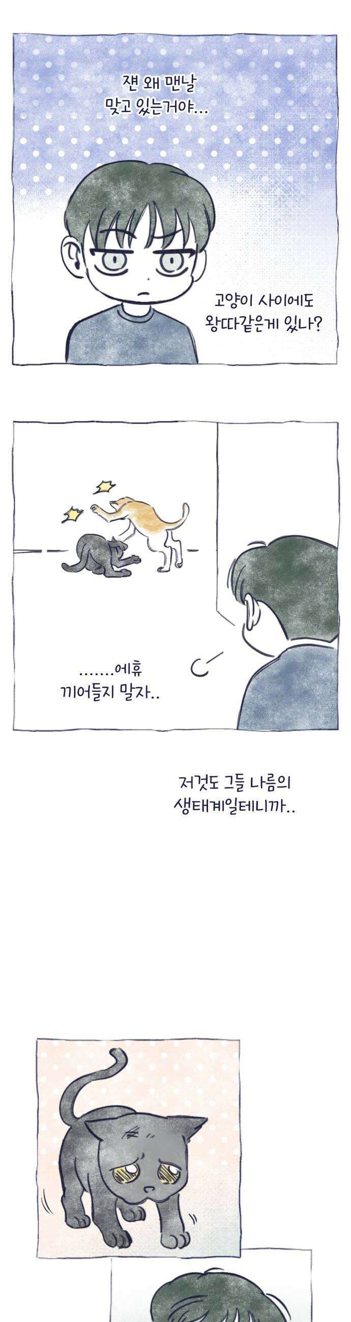 사지선다 쉬어가는 특별편 22