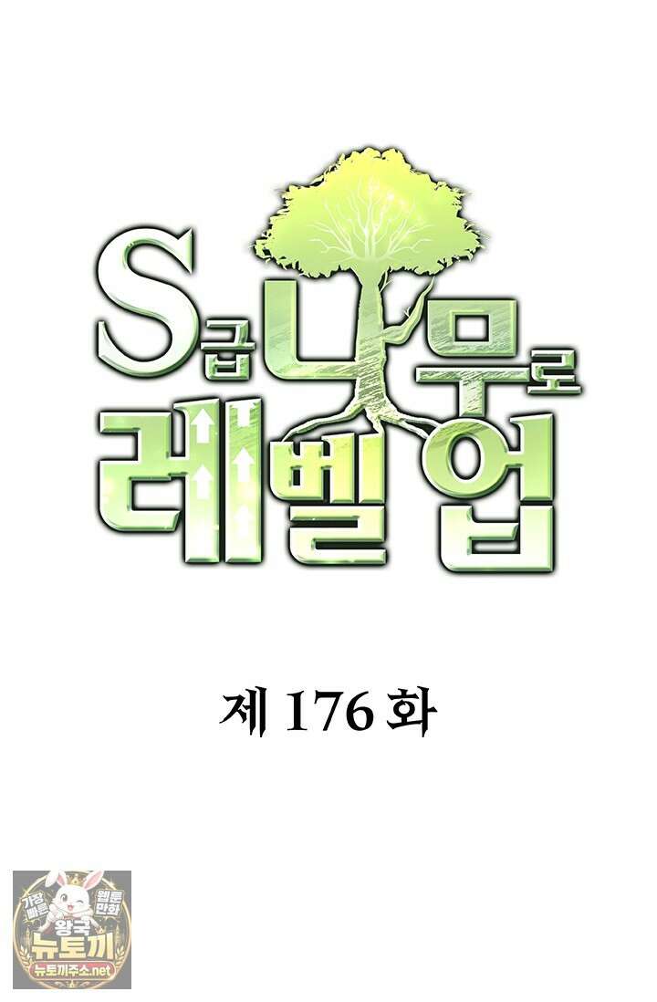 S급 나무로 레벨업 176화 1