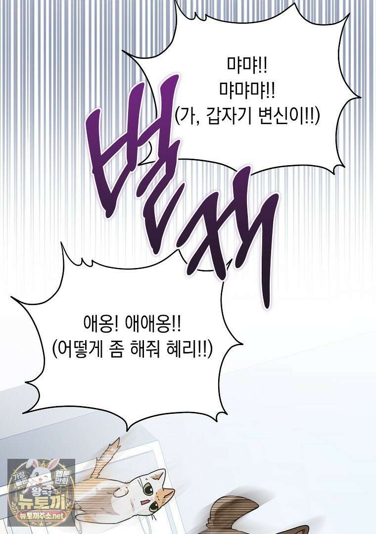 오늘부로 다섯 남자의 집사가 되었습니다 42화 13