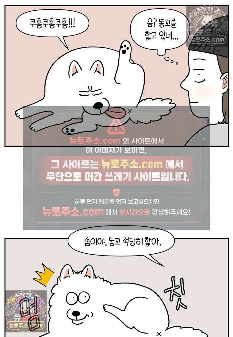 극한견주 시즌2 40화 항문낭짜기 2