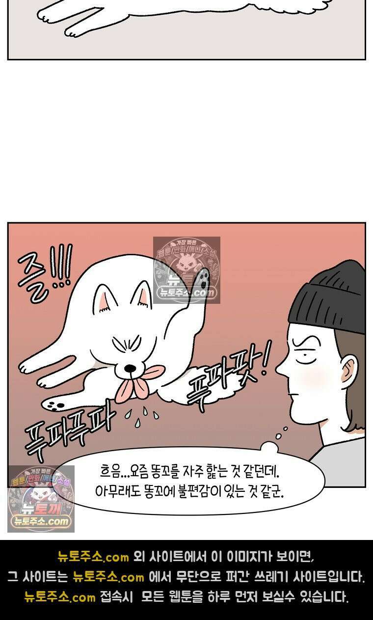 극한견주 시즌2 40화 항문낭짜기 3