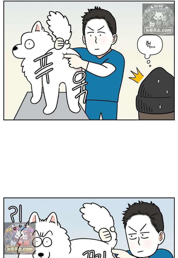 극한견주 시즌2 40화 항문낭짜기 8