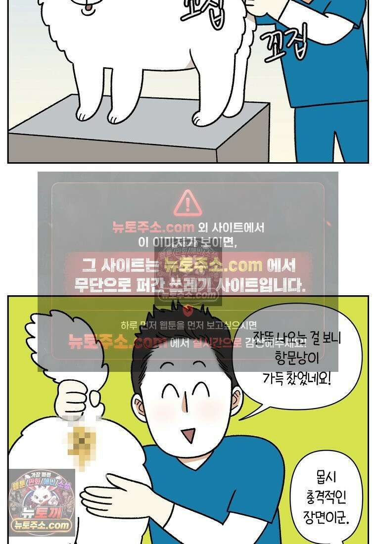 극한견주 시즌2 40화 항문낭짜기 9