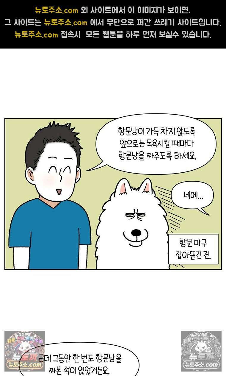 극한견주 시즌2 40화 항문낭짜기 11