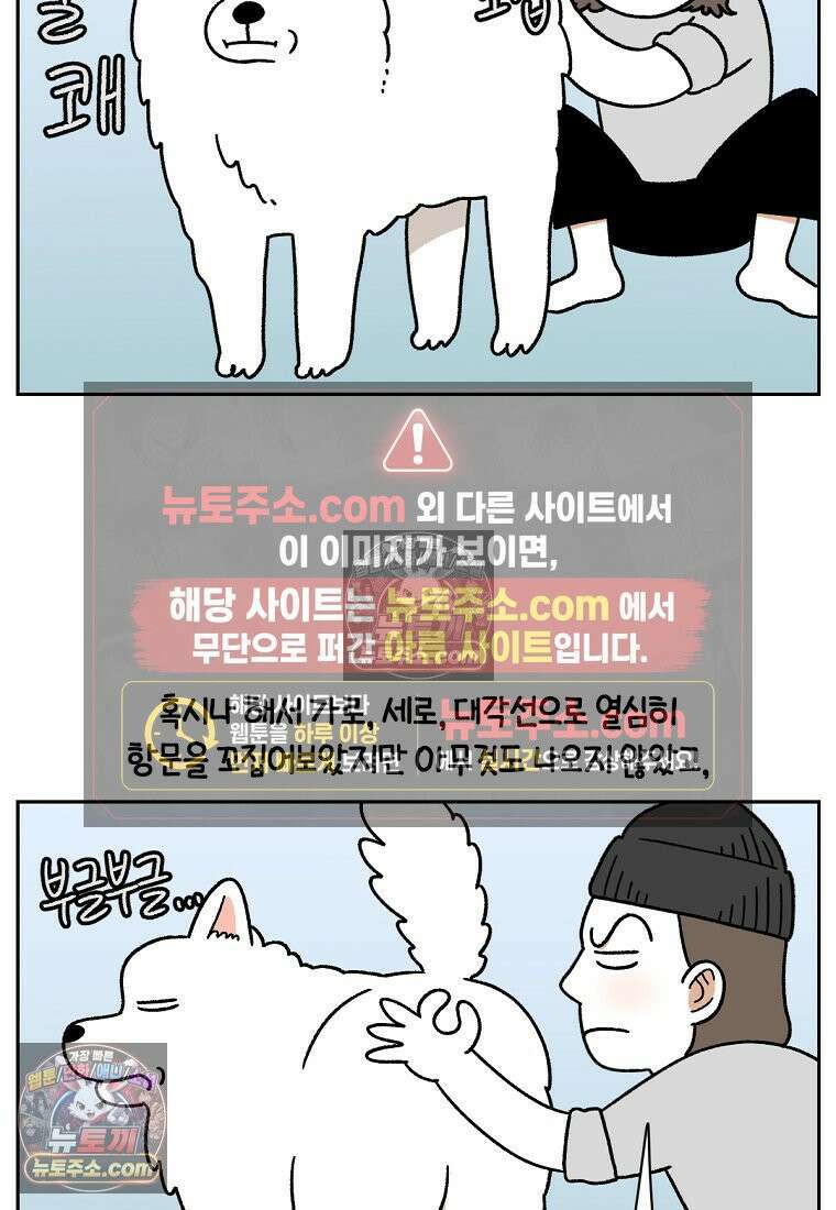 극한견주 시즌2 40화 항문낭짜기 17