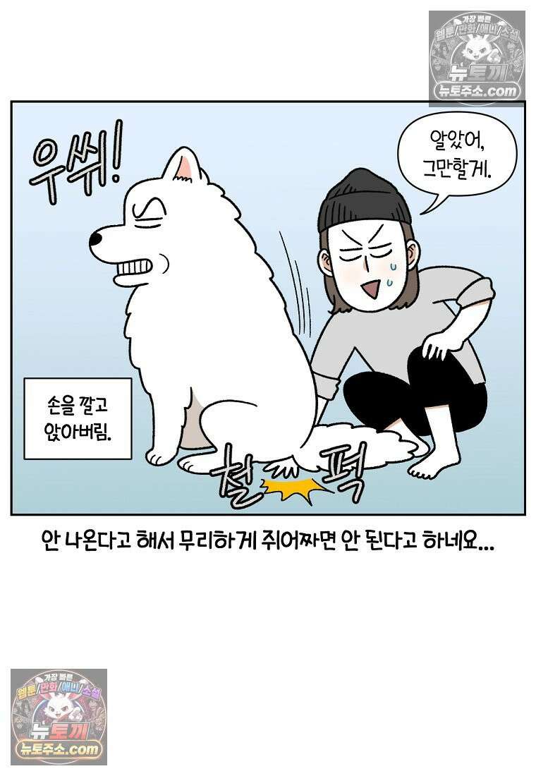 극한견주 시즌2 40화 항문낭짜기 19
