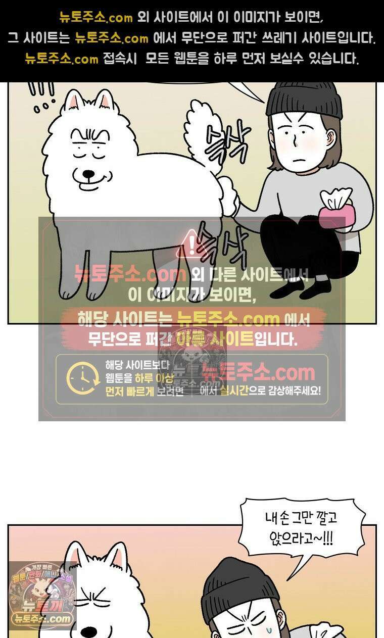 극한견주 시즌2 40화 항문낭짜기 23