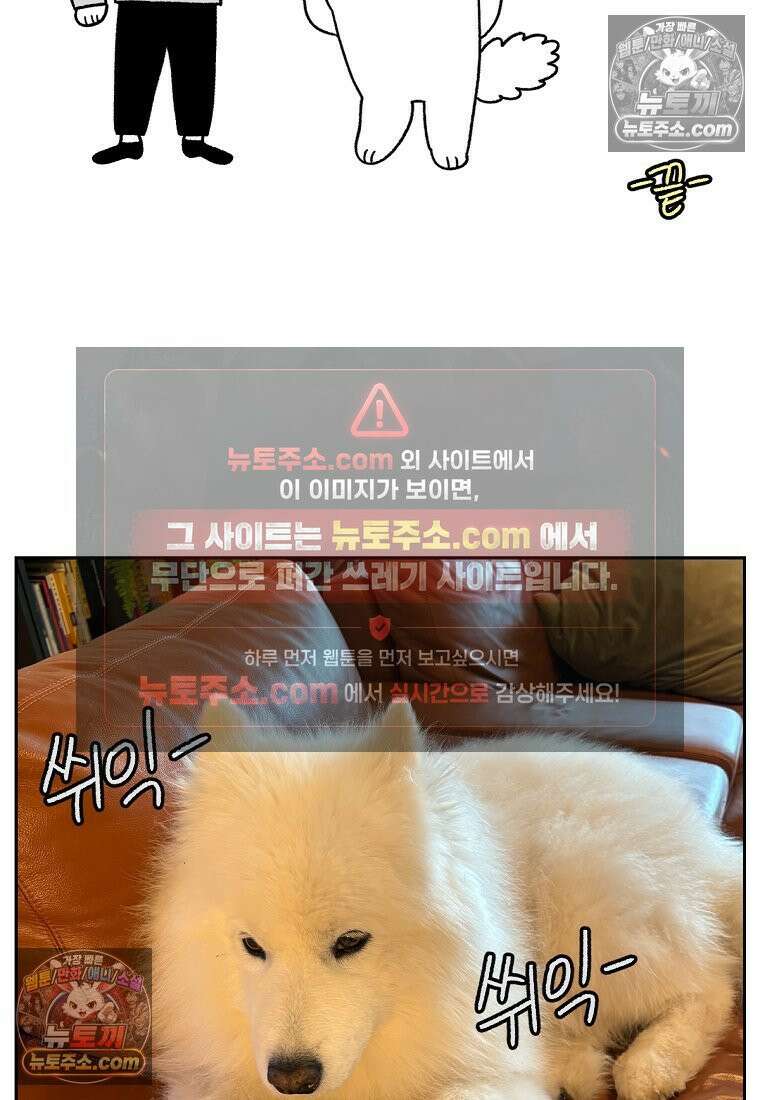 극한견주 시즌2 40화 항문낭짜기 25
