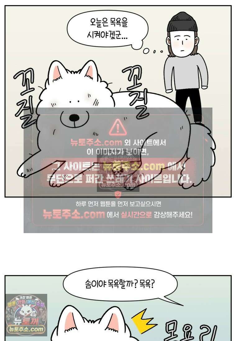 극한견주 시즌2 47화 개를 욕실로 유인하기 2