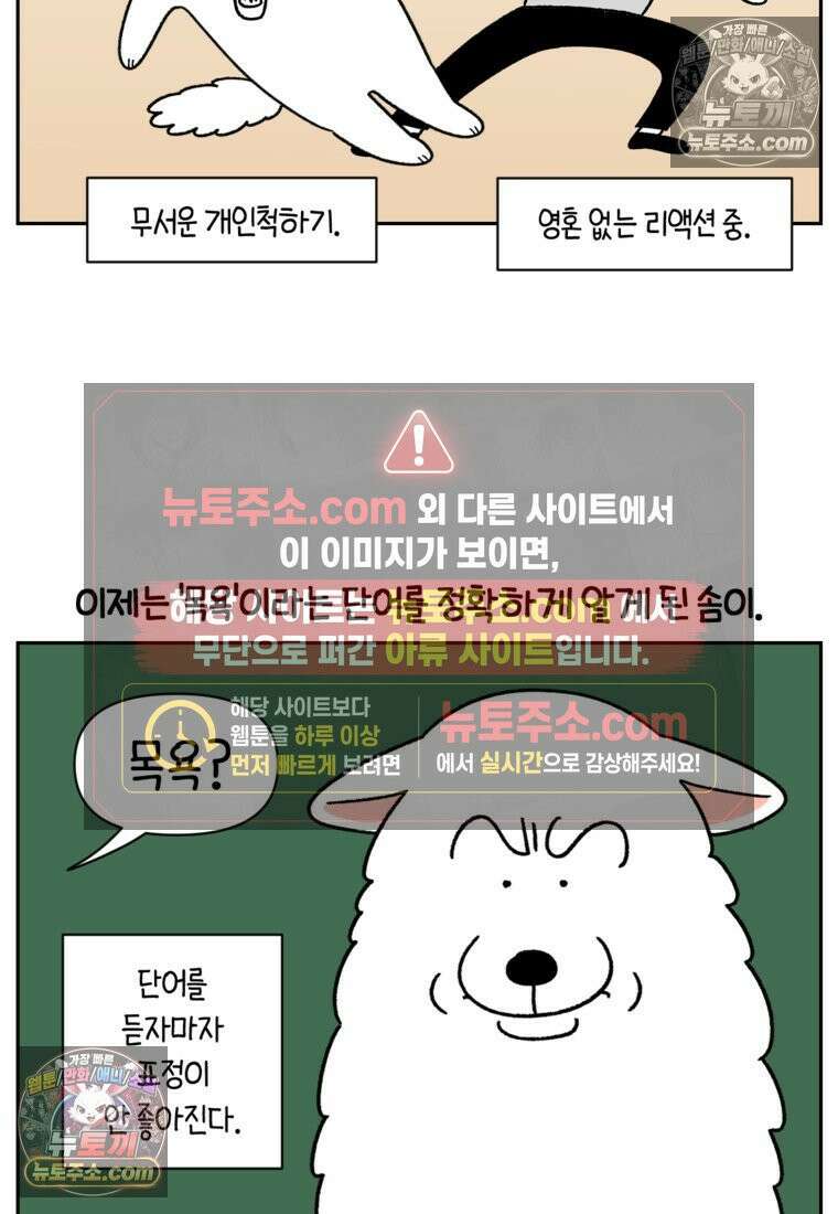 극한견주 시즌2 47화 개를 욕실로 유인하기 7