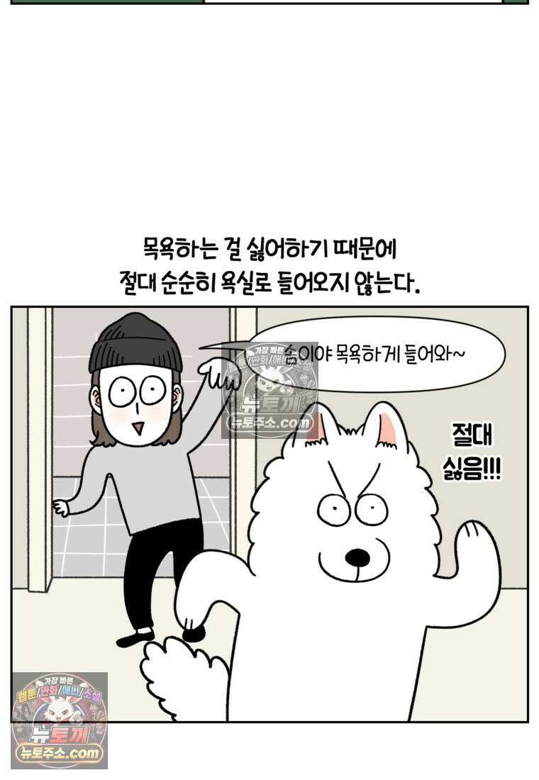 극한견주 시즌2 47화 개를 욕실로 유인하기 8