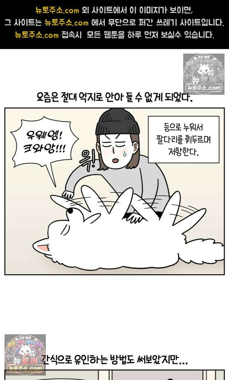극한견주 시즌2 47화 개를 욕실로 유인하기 10